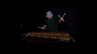 Austere Elaborations (excerpt) #freeImprovisation #solo #jazz #FreeJazz #percussion #vibraphone