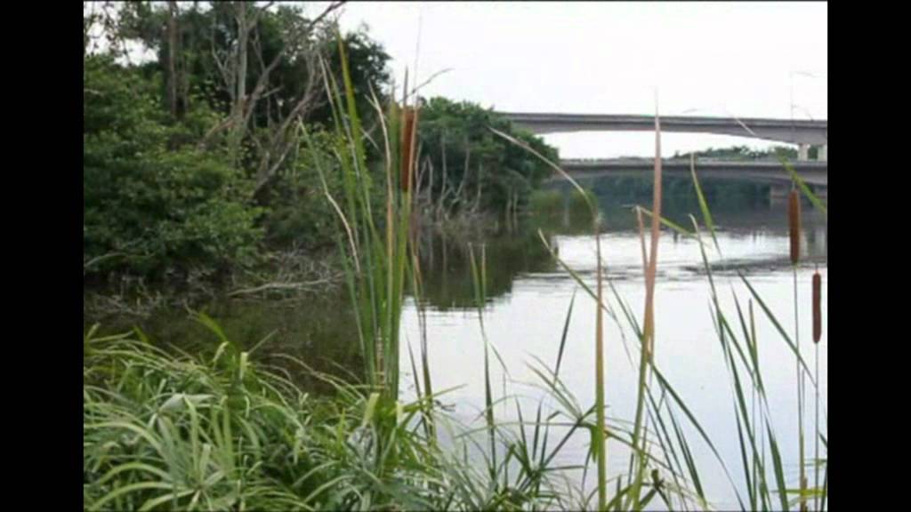 Project H20 Shortlisted Video: Wellington Primary