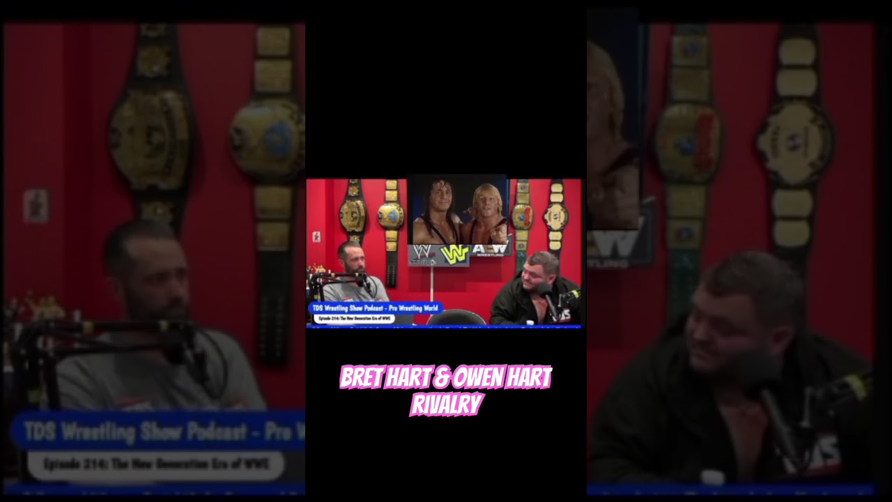 Соперничество Брета «Хитмэна» Харта и Оуэна Харта в WWE. 