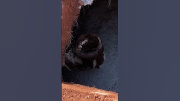 Signs Your Septic Tank Is Backing Up: What to Look For!