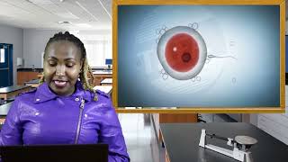 FORM 3 BIOLOGY - REPRODUCTION IN ANIMALS - THE ACHIEVERS FOCUS ACADEMY (TAFA) screenshot 4