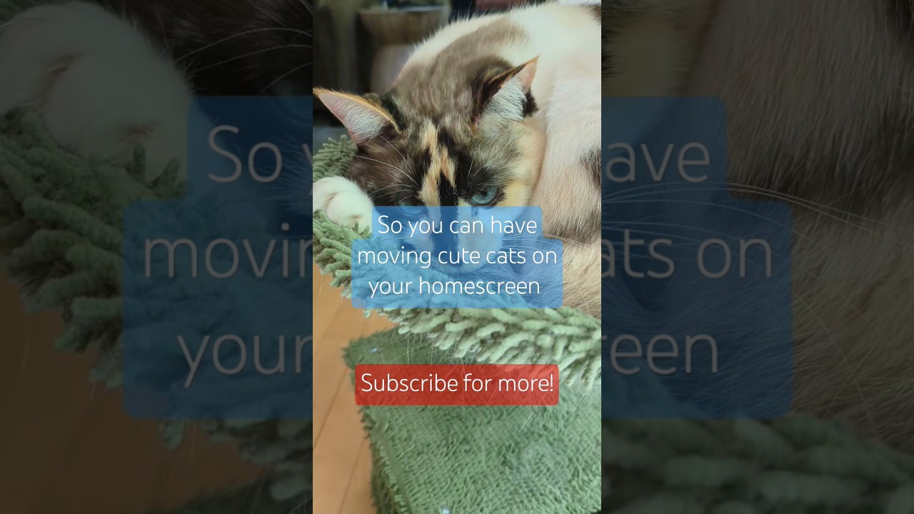 How to get a moving wallpaper