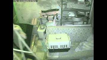 foscam fi8910w review