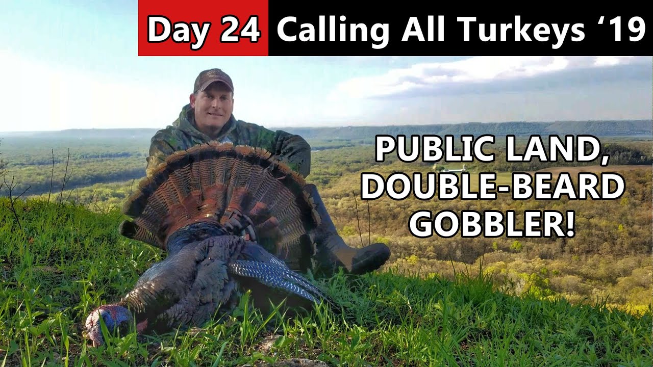DoubleBeard, Public Land Gobbler Calling All Turkeys YouTube