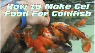 How to Prepare Repashy Gel Food for Goldfish