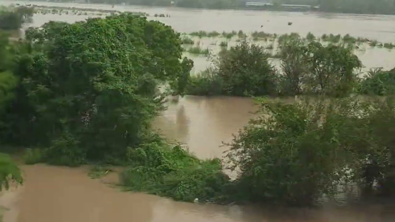 Yamuna River | Flood Alert | Delhi | Yamuna continues to swell