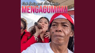 Download Lagu Mengagumimu (feat. Lia Amelia)