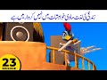 Zindagi Ki Lazzat Maadi Khwahishat Me Nahi Kirdaar Me Hai Kalila Friends S1E23 Cartoon