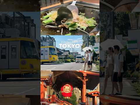 A perfect day in Tokyo, Japan 🇯🇵🚉 #travel #japan #tokyo #tokyotravel