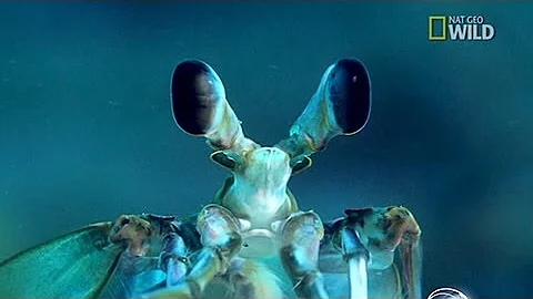 Wonders of the Deep Blue Sea - DayDayNews