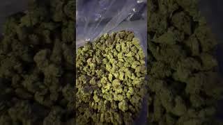 THCA Ban Clock Is Ticking — Only Early Connections Will Benefit