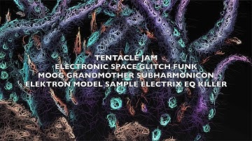 TENTACLE JAM: ELECTRONIC SPACE GLITCH FUNK WITH MOOG GRANDMOTHER SUBHARMONICON MODEL:SAMPLES