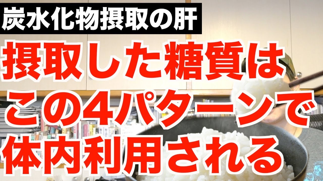 体を鍛える前に必ず押さえておきたい、4つの糖質の使われ方。