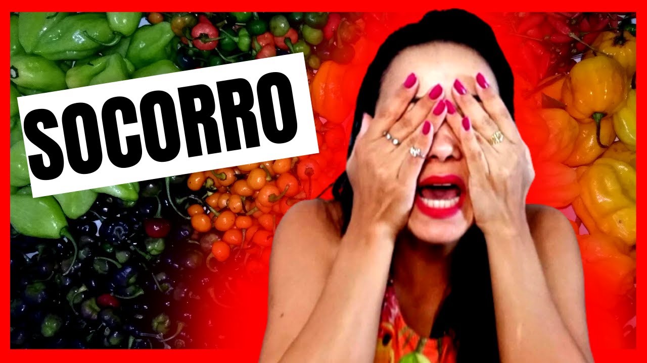😭QUEIMADURA de PIMENTA nas MÃOS COMO TIRAR ( RÁPIDO e FÁCIL ) O ARDOR ...