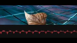 Trumpetactivity Sonata fmpkegnbeb