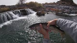 Trout fishing the Snake River under two different waterfalls!