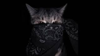 Tobi King - Loli Mou Speed Up