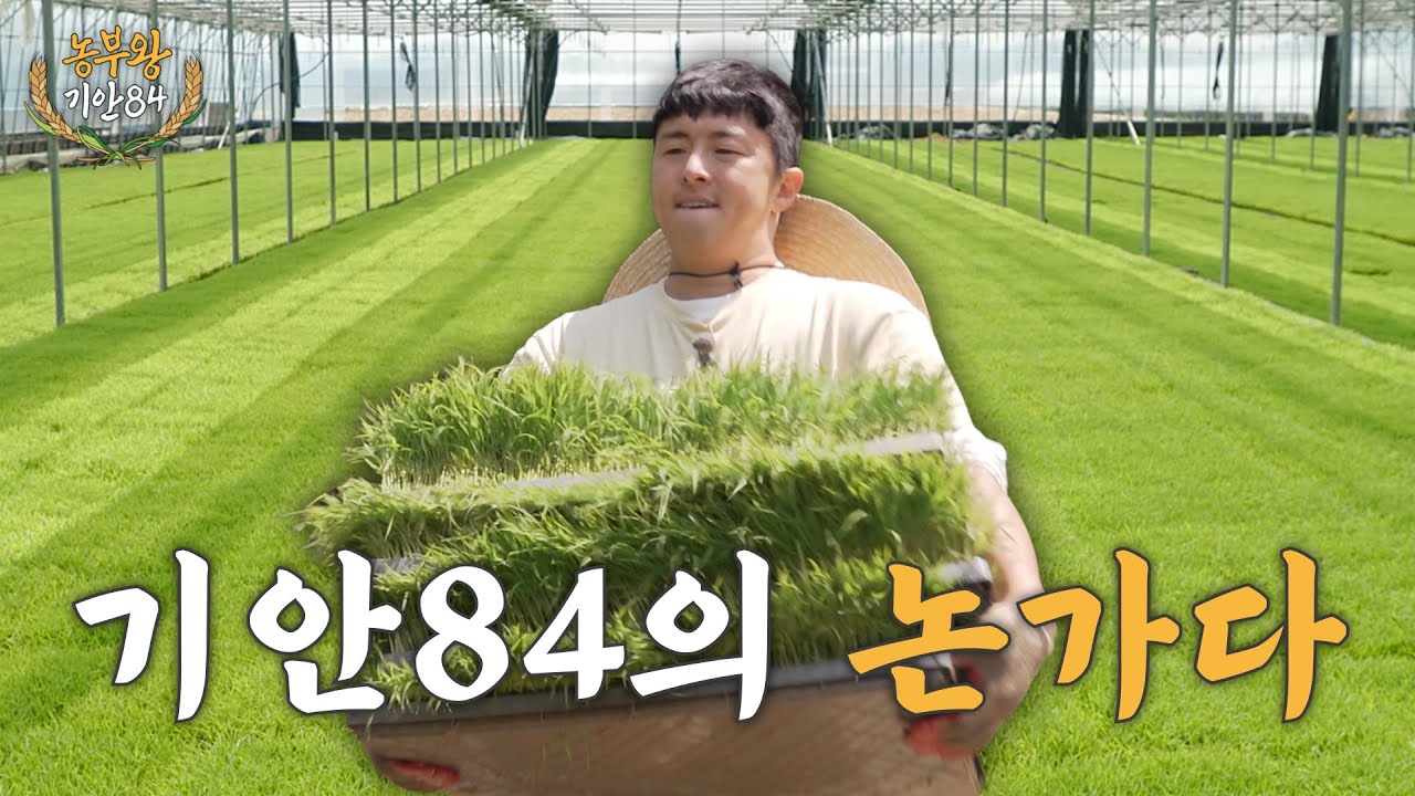 [농부왕 기안84] (Ep.03) 농부왕, 모내기를 위한 첫걸음을 내딛다!