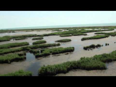 ლაზიკას გადაღეა