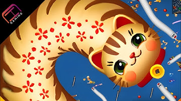 WORMS ZONE.IO || PRO VS NOOB BEST KILL || BIG SNAKE SAMP WALA GAME || CAT SNAKE CHARSI GAMING