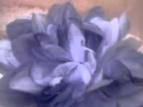 GARNET CROW『Flower』歌って欲しい！６/５（～アカペラ～）
