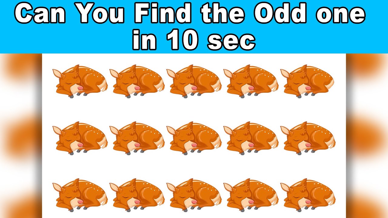 Can You Find The odd One in 10 sec ? Optical Illusions that will trick ...