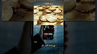 📊 XRP يقلب السوق