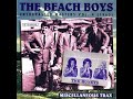 Beach Boys Endless Sleep Stereo Mix 2023 Reupload mp3