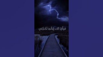 [كل من عليها فان] بصوت القارئ إسلام صبحي 🪐🌊