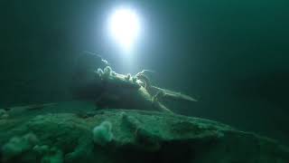 HMS Audacious , Malin Head Classic Wrecks, June 2021