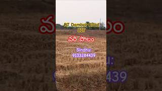 Agriculture land for sale |20 Guntas | #farmland #property #dharani #bhubharathi #road #land #shorts