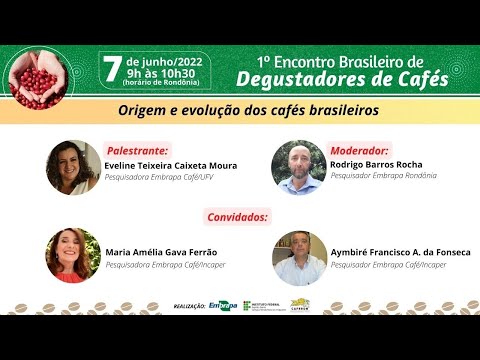 Origem e evolução dos cafés brasileiros.