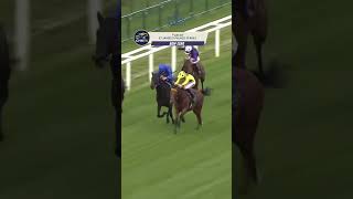 😎BOW ECHO remains unbeaten in St James's Palace Stakes👏🏻🏆