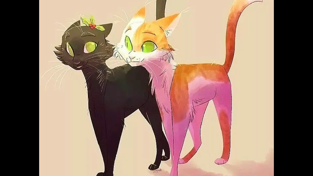 Картинки Коты Воители Пары