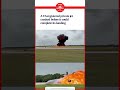 Private jet crashes, bursts into flames during emergency landing; 2 dead