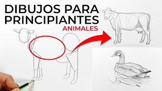 DIBUJAR ANIMALES NUNCA FUE TAN FÁCIL!