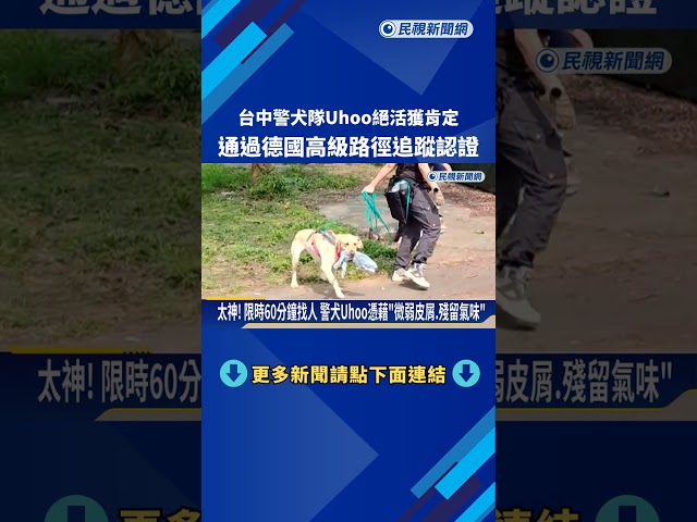 監視器死角"牠來補上" 警犬Uhoo獲高級路徑追蹤認證－民視新聞