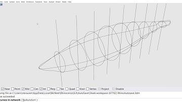 Shark Surface from Curve Network