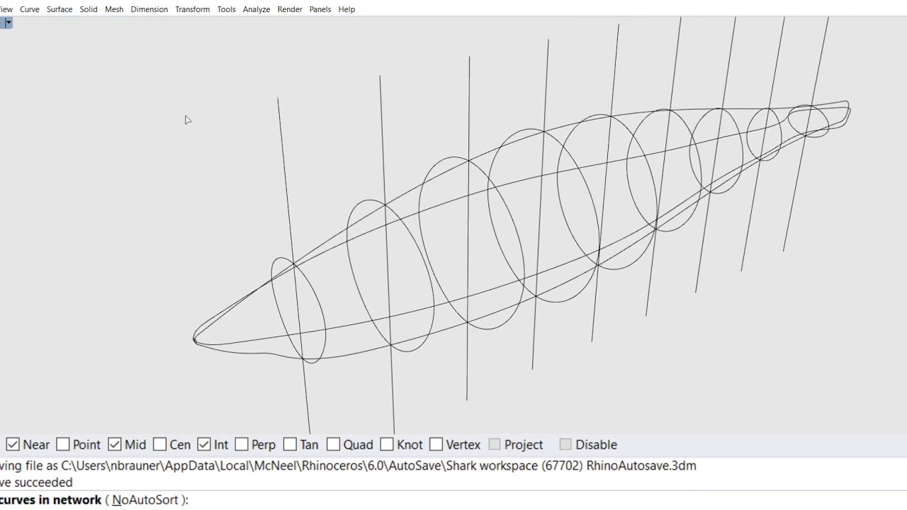 Shark Surface from Curve Network