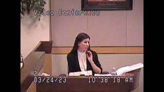 Victor Sal Victoria vs Victoria Matter! Before Family Court Judge Marli Parlade' 3/24/23 2-8