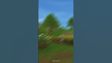 Editing Random People✨#sso #ssoedits #starstable #starstableonline #starstableshorts #ssohorses