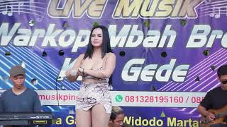 MENDUNG TANPO UDAN  ~ UUT SELLY VERSI 🐢 KOPLO DJ REMIX TERBARU