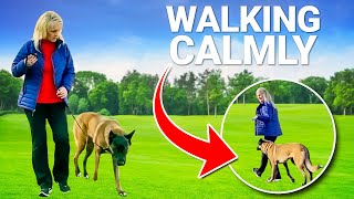 How to Train Your Dog to Walk CALMLY by Your Side