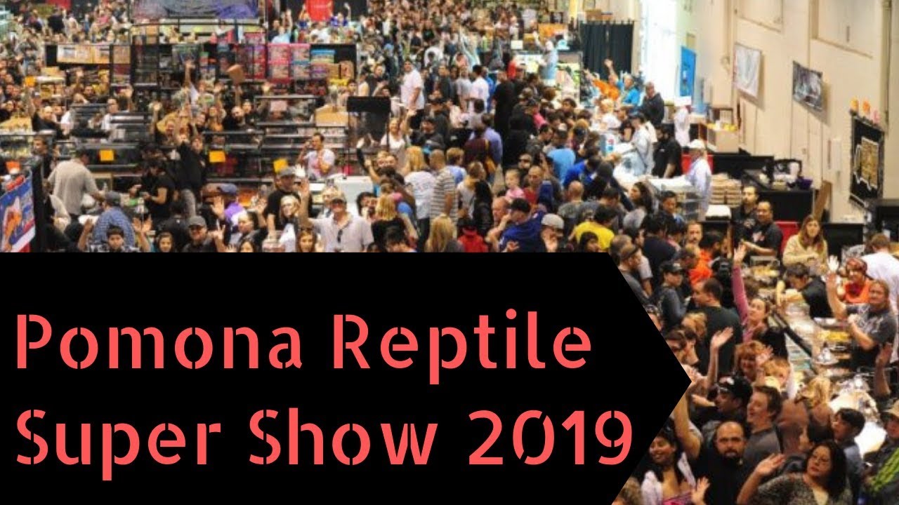 petco hours Pomona Reptile Super Show 2019 pt. 1