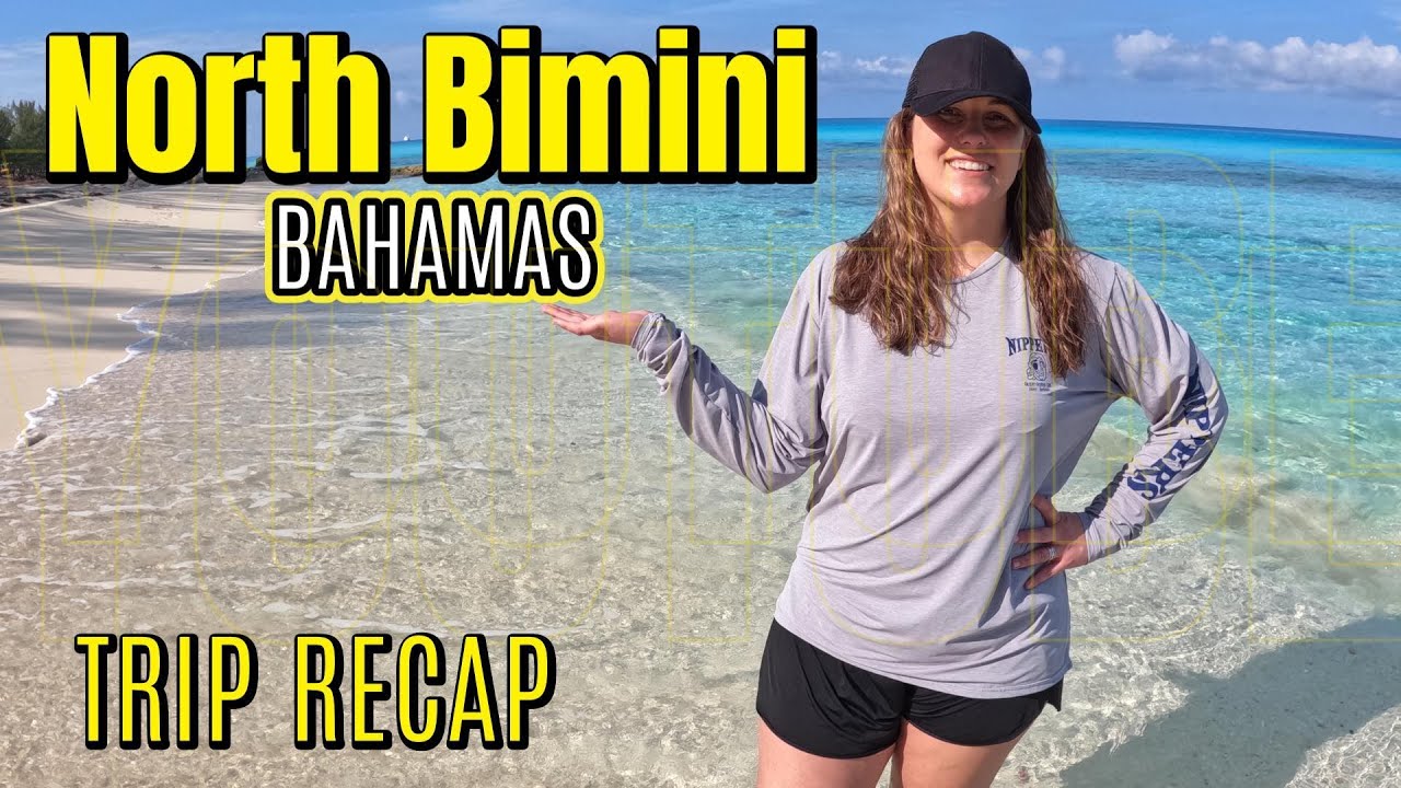 Things to do, scuba diving with sharks, radio beach, and the best donut on North Bimini, Bahamas