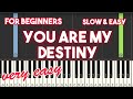 You Are My Destiny Paul Anka Slow Very Easy Piano Tutorial 
