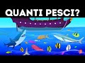 Ho Impiegato ore per Risolvere Questo Indovinello, Tu sei Più Veloce?