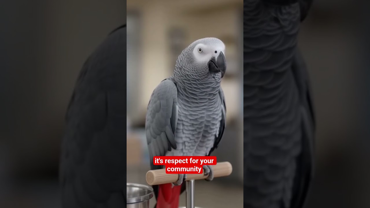 Parrot vs Cop | Funniest Police Roast Ever! 😂🐦 