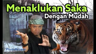 MENGHANCURKAN RAJA JIN SAKA SOMBONG MERASA PALING HEBAT