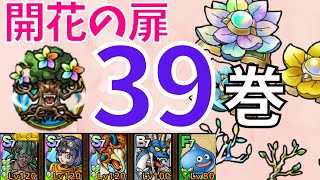 【ドラクエタクト】開花の扉 第39巻 スライム反撃&じげんりゅうを固定させて安定クリア【#ドラクエタクト​/#ドラゴンクエストタクト​/#才能開花/#DQTact​/#DQT/#DQタクト】